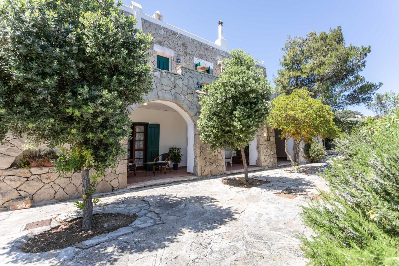 Castro  Il Posto Delle Fragole Bed & Breakfast エクステリア 写真