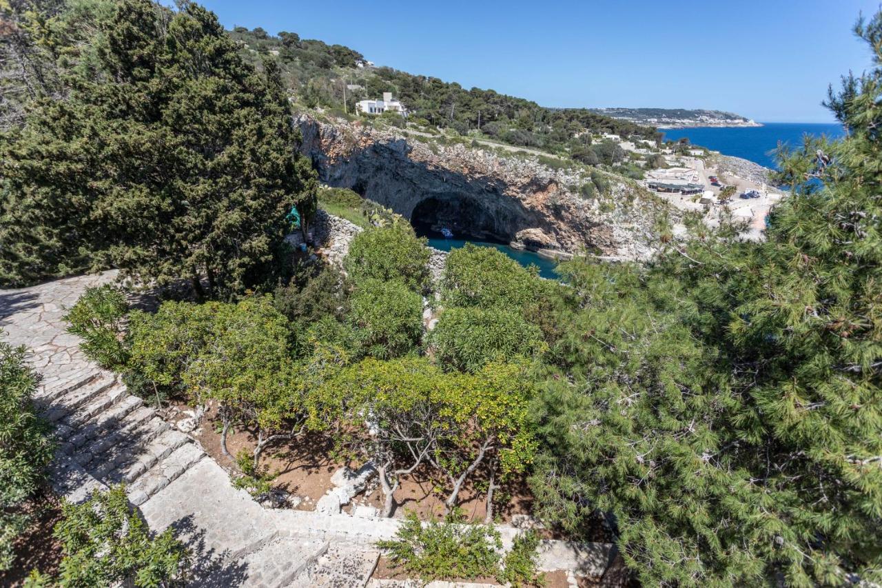 Castro  Il Posto Delle Fragole Bed & Breakfast エクステリア 写真