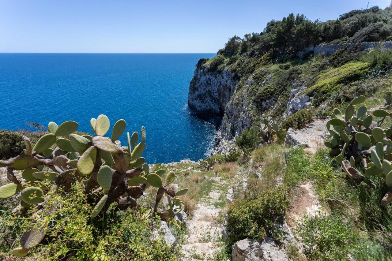 Castro  Il Posto Delle Fragole Bed & Breakfast エクステリア 写真