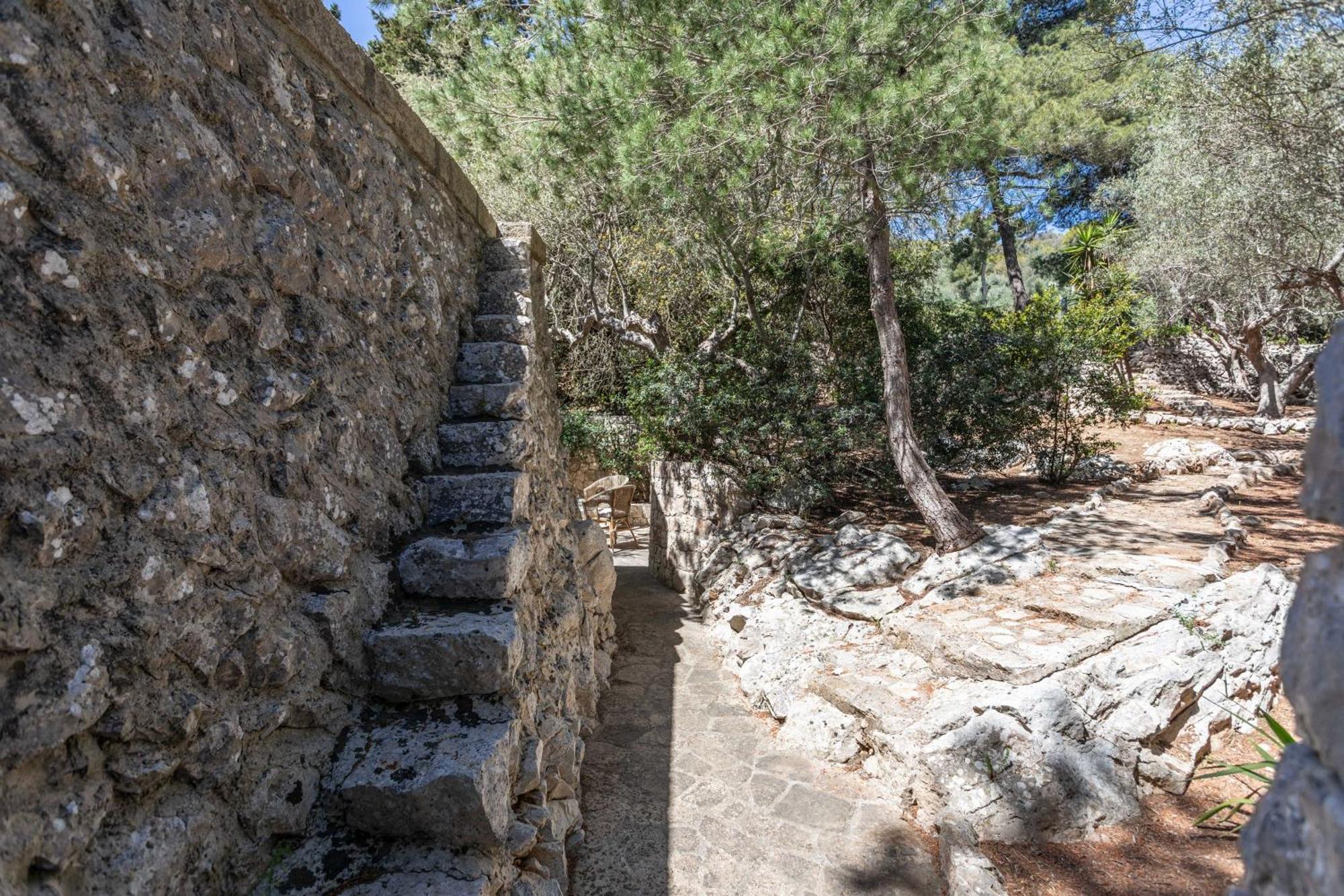 Castro  Il Posto Delle Fragole Bed & Breakfast 部屋 写真